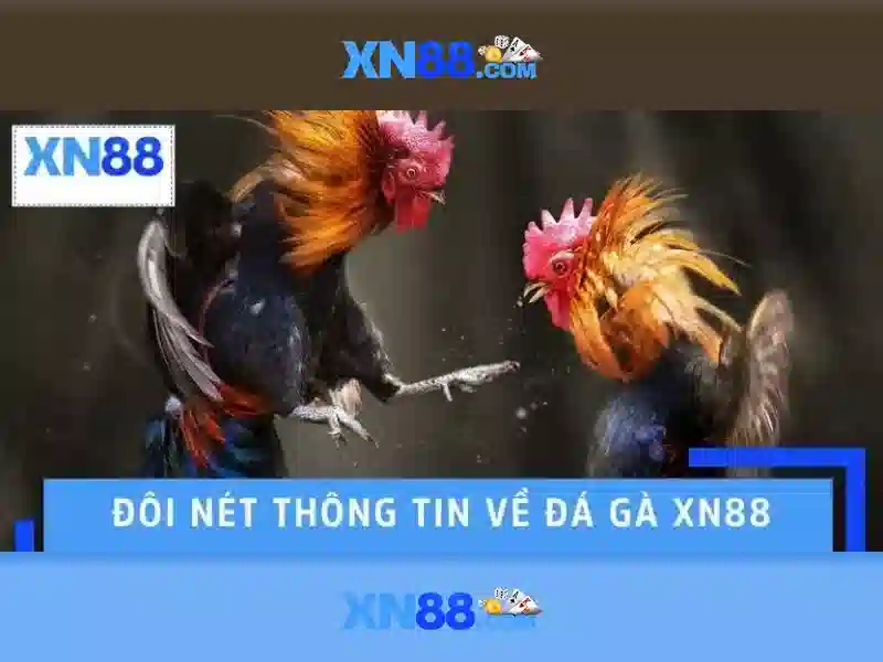 Trò chơi và casino\n\n<h2><b>Hướng dẫn tham gia</b></h2>\n<p><span style=