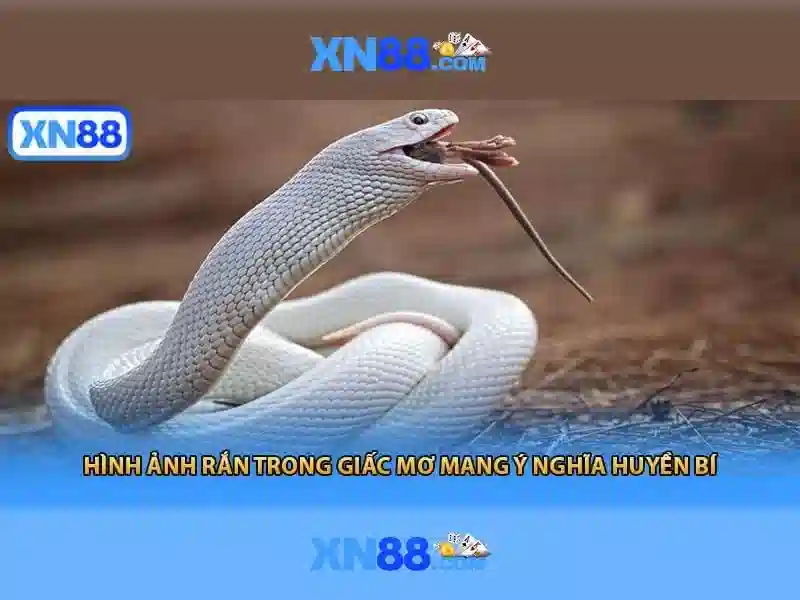 Trải nghiệm người dùng và phản hồi cộng đồng