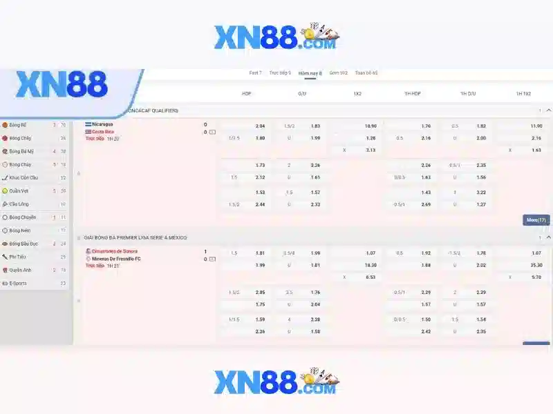 Giới thiệu về xn88