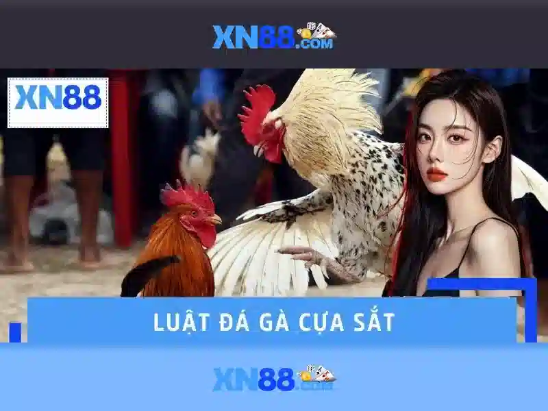 Giao diện nhà cái hoàn hảo