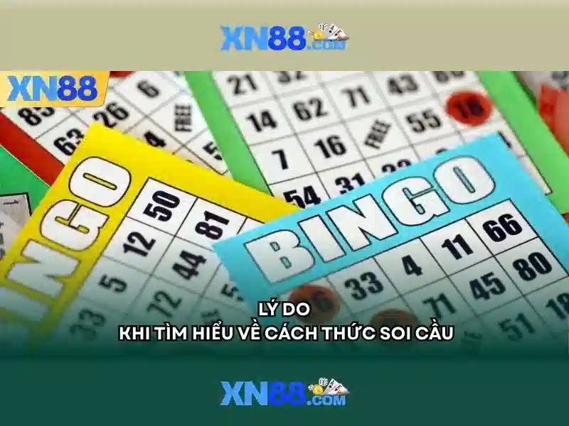 Giới thiệu về xn88