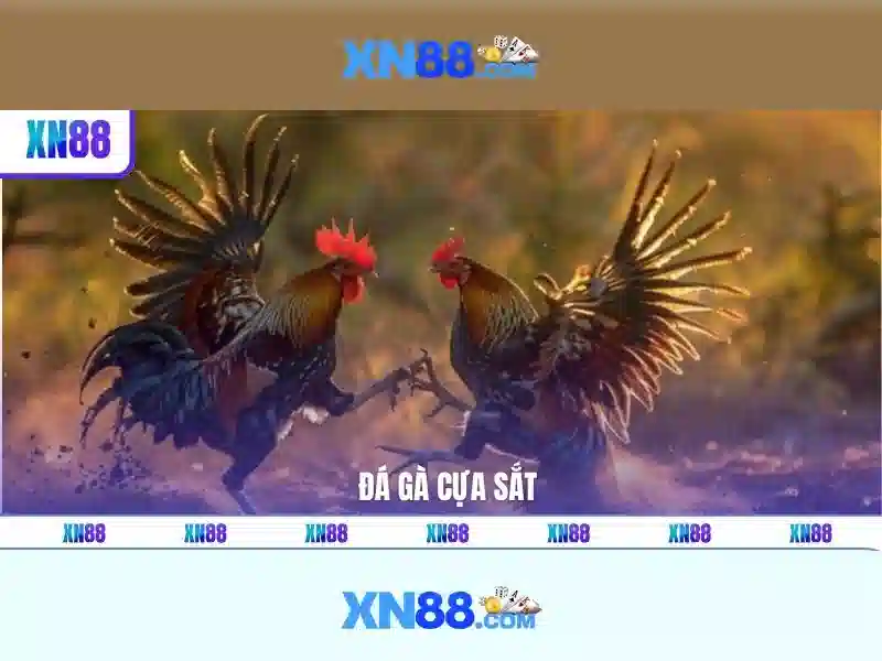 Phát triển tương lai và tầm nhìn của xn88\n<h2><b>Kết luận và lời mời trải nghiệm</b></h2>\n<p><span style=