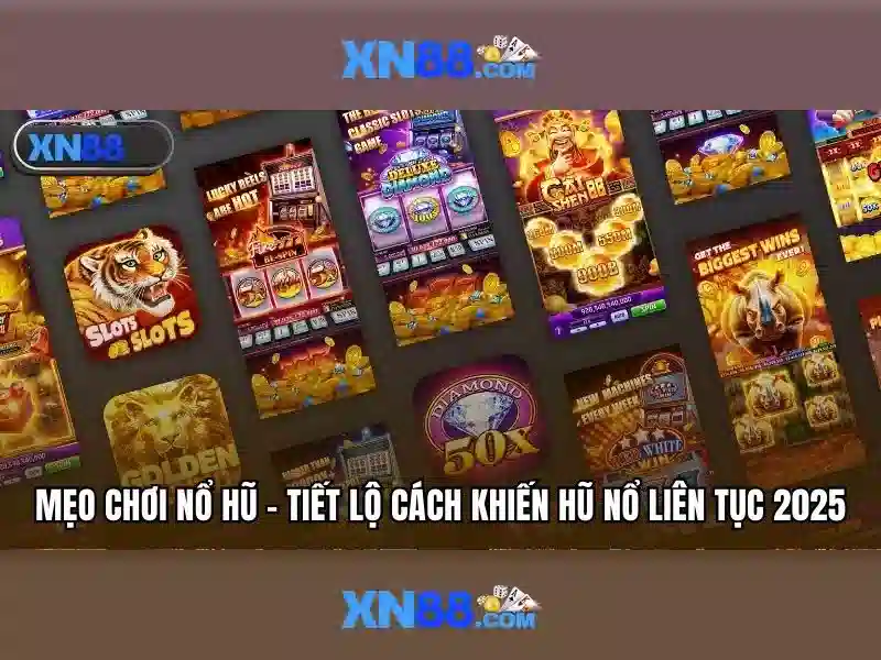 Giới thiệu về xn88