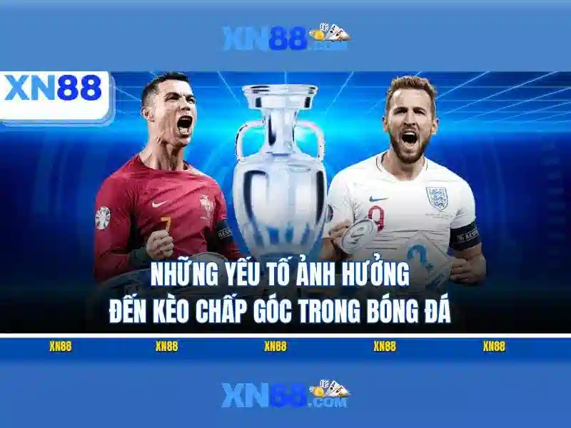 Giao diện nhà cái hoàn hảo