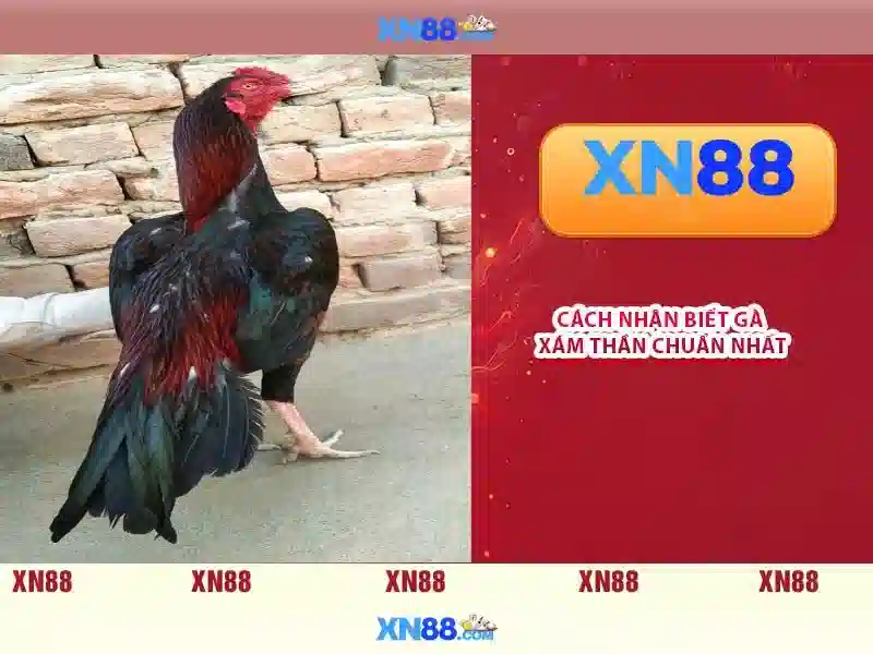 Nguồn gốc và sứ mệnh của xn88 lừa đảo