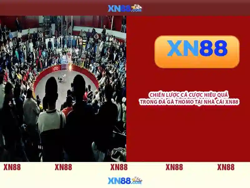 Tổng quan xn88 nhà cái