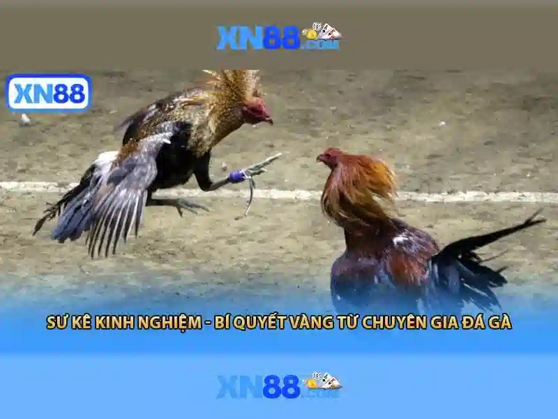 Công nghệ và bảo mật tại xn88