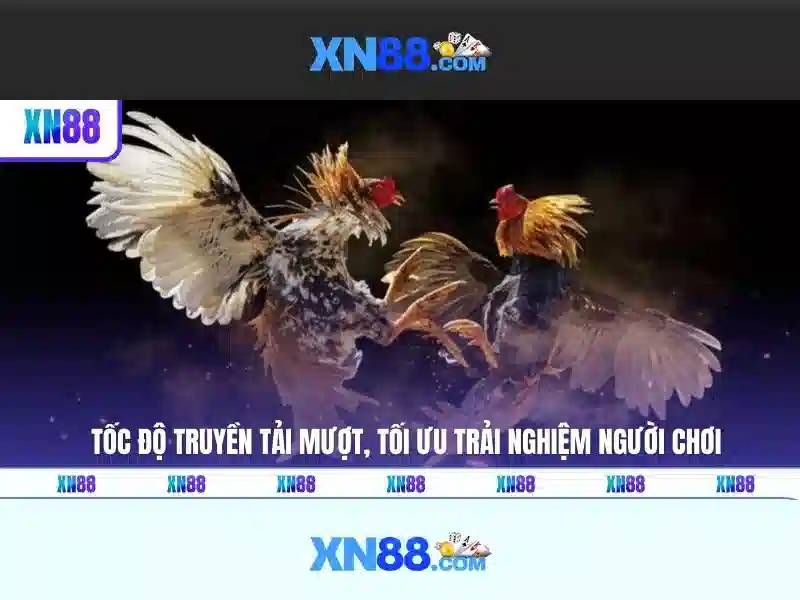 Giao diện nhà cái hoàn hảo
