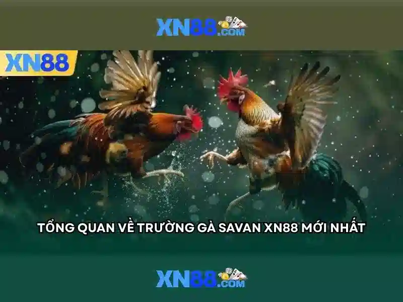 Xn88: một khái niệm và nền tảng Giao diện nhà cái hoàn hảo