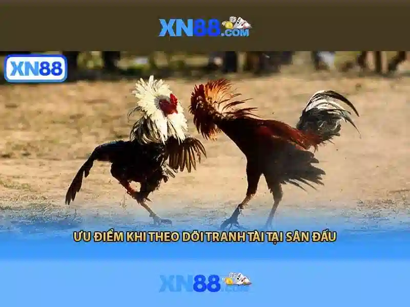 Giới thiệu về xn88