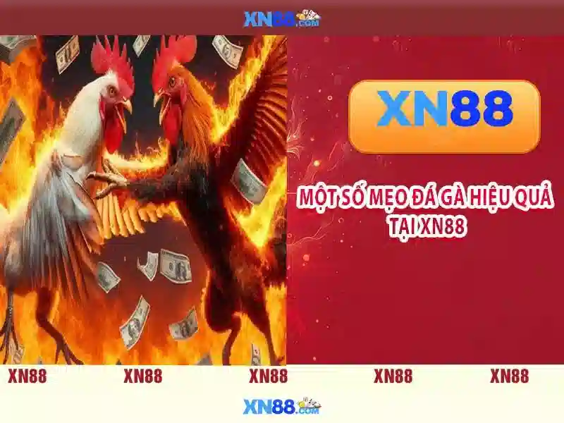 xn88 official – Tổng quan chủ đề và giá trị cốt lõi