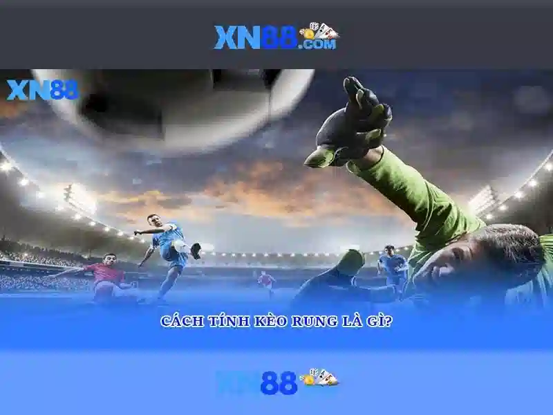 Trải nghiệm người dùng và hỗ trợ