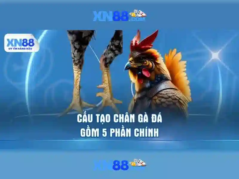 Trò chơi đa dạng và trải nghiệm người dùng