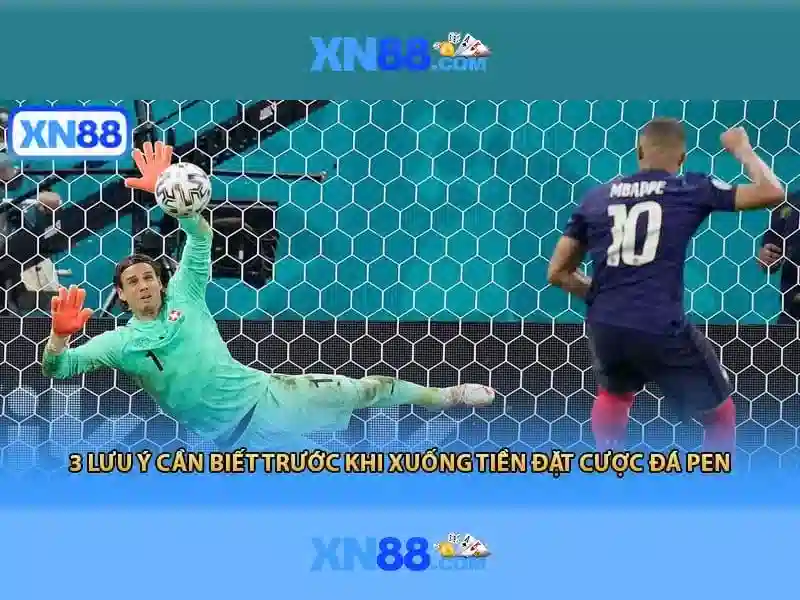 Tổng quan về xn88