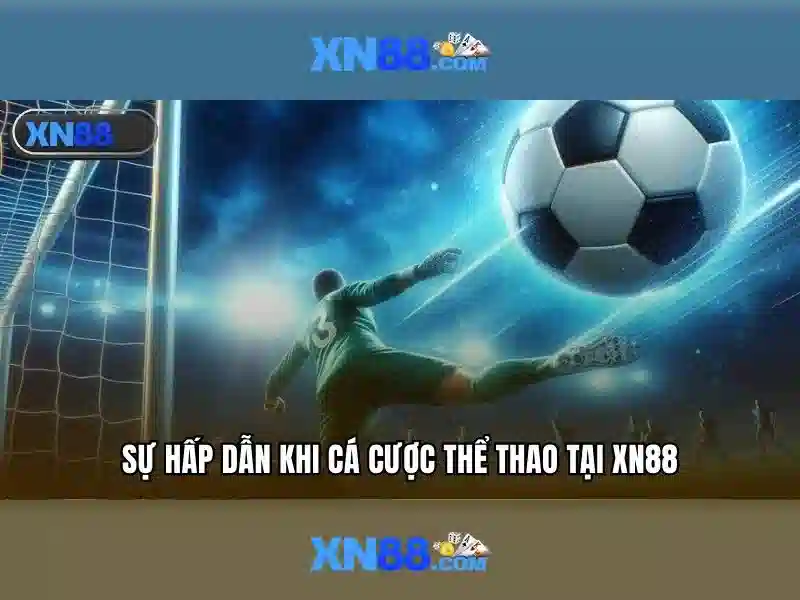 Quyền lợi và khuyến mãi\n\n<h5>Kết luận</h5>\n<p><span style=