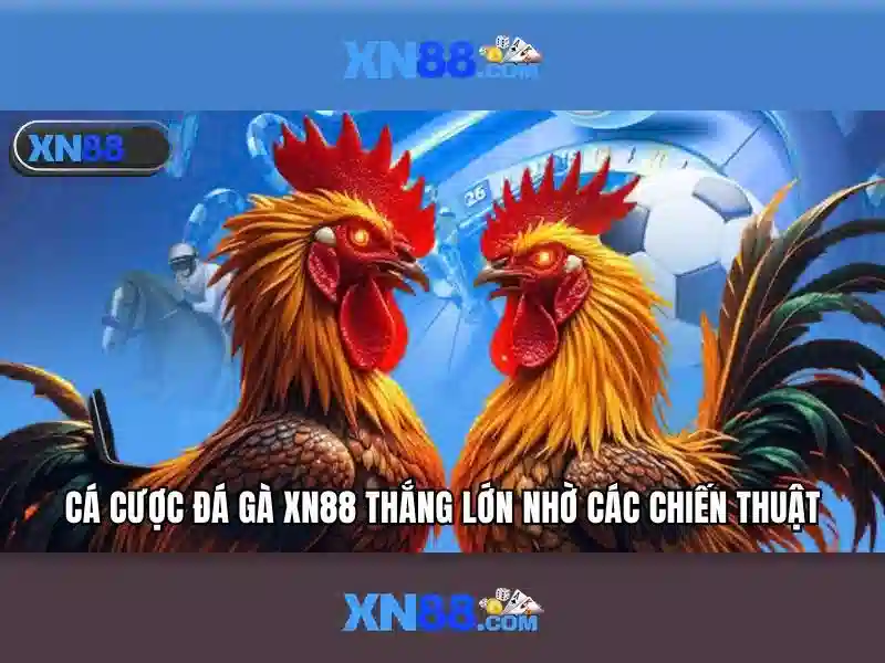 Giới thiệu về xn88