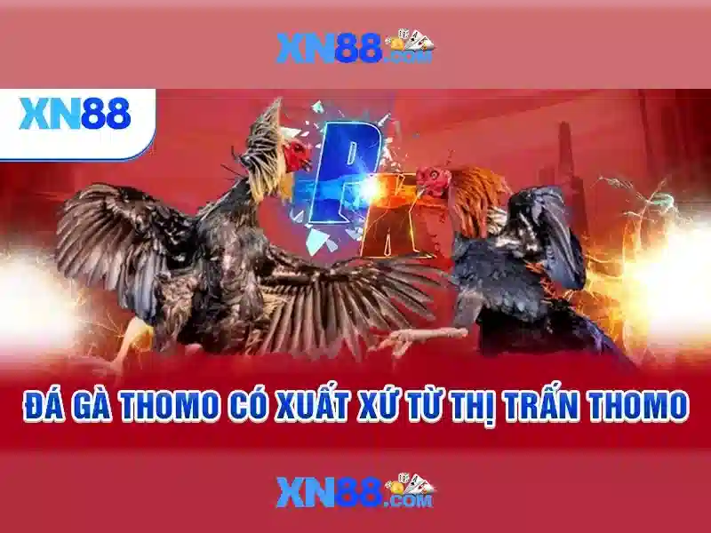 xn88 ampleur.jp***.com – Trải nghiệm và giá trị thương hiệu Giao diện nhà cái hoàn hảo