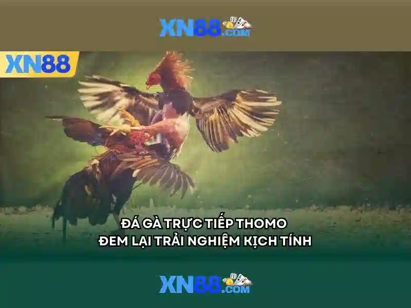 xn88 là gì và những điều cần biết Giao diện nhà cái hoàn hảo