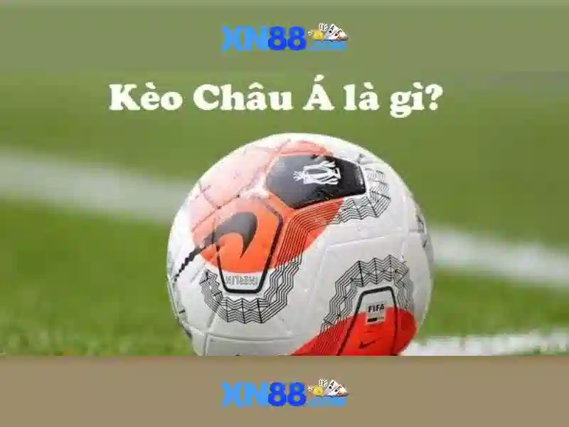 Các tính năng nổi bật