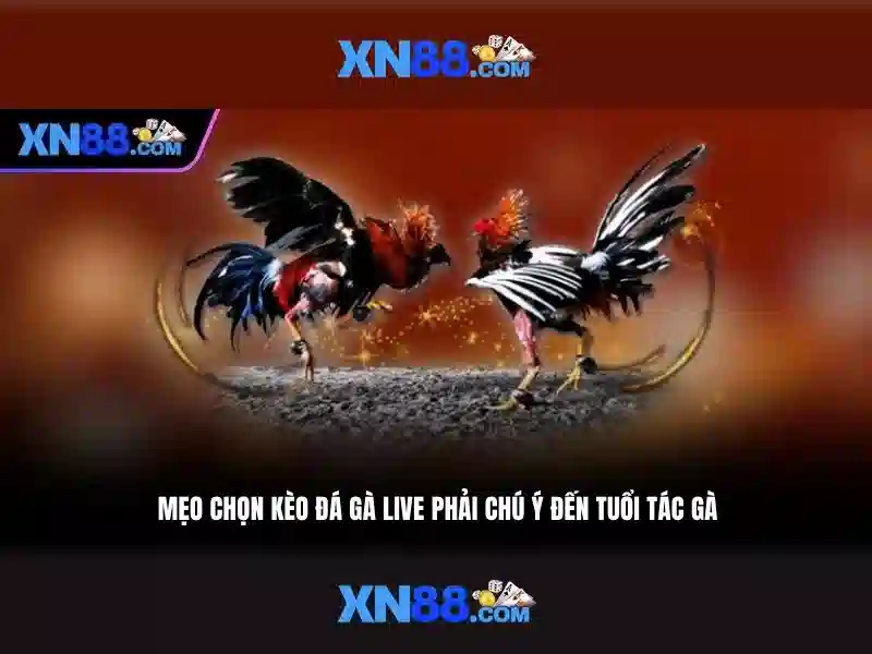 Quy trình xác thực và bảo mật