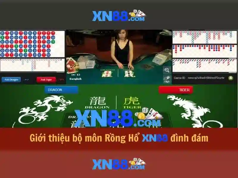 Giới thiệu về xn88