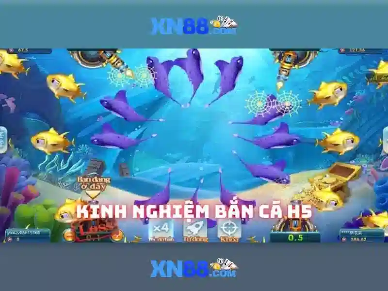 An toàn và trách nhiệm khi tham gia<h2><b>Hướng dẫn tham gia cơ bản</b></h2><p><span style=