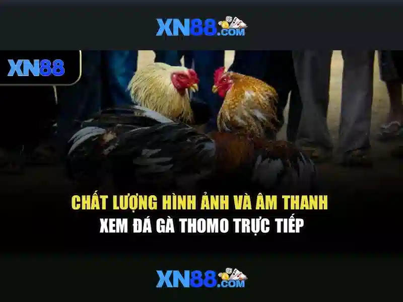 Tài khoản và thanh toán\n<h>Kết luận</h>\n<p><span style=