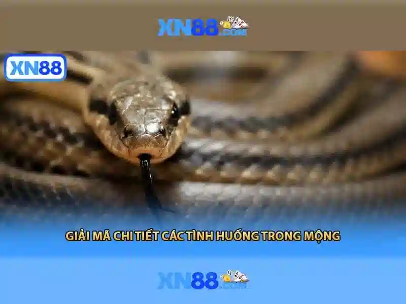 An toàn, thanh toán và hỗ trợ