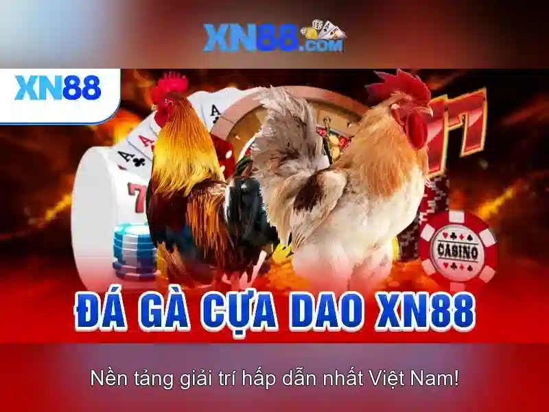 Tính năng nổi bật của xn88