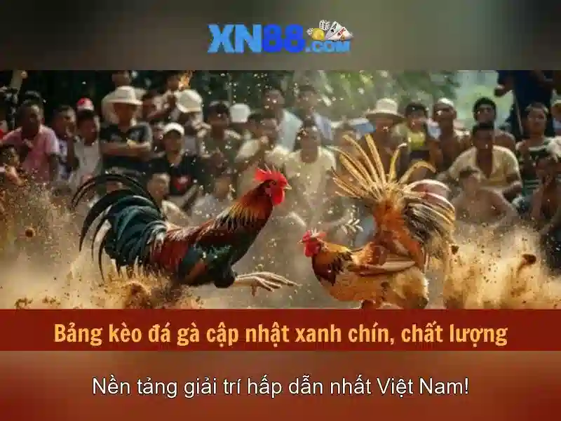 XN88: Nền tảng giải trí trực tuyến và trải nghiệm cá cược an toàn Giao diện nhà cái hoàn hảo