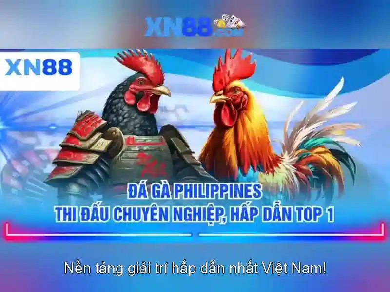 Lịch sử và phát triển của xn88