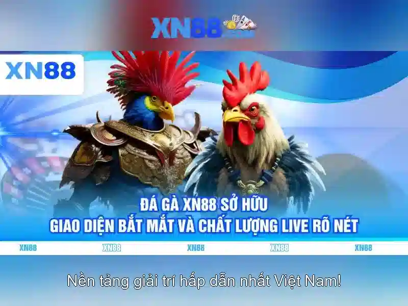 Ứng dụng và tiềm năng