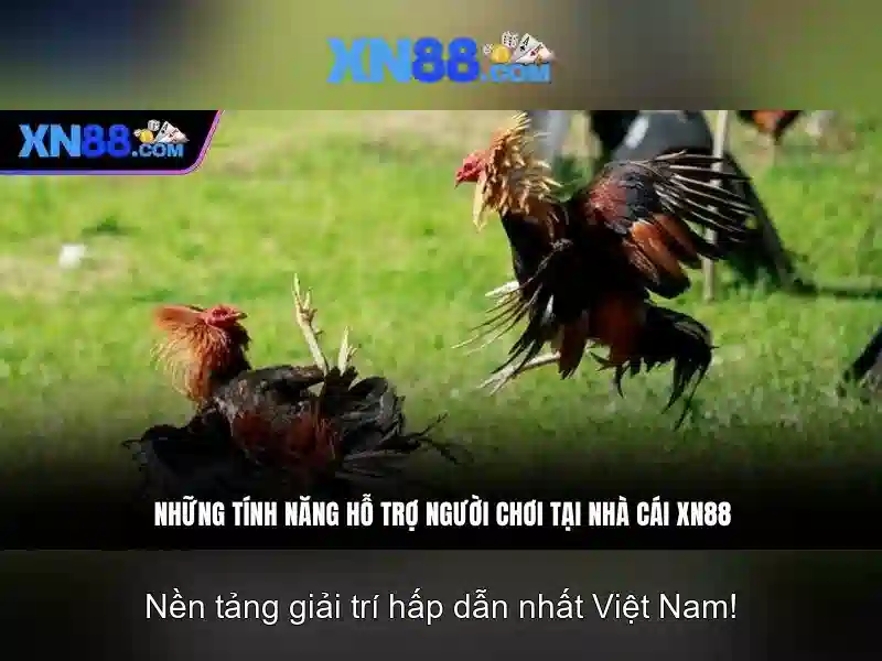 An toàn và bảo mật