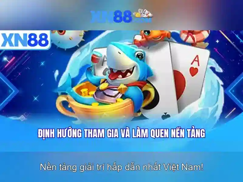 Kết luận