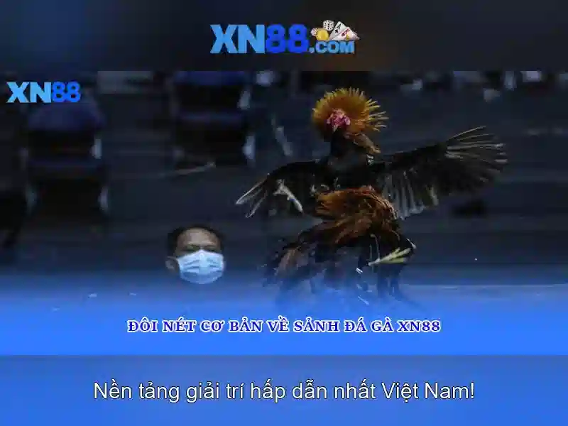 Giao diện nhà cái hoàn hảo