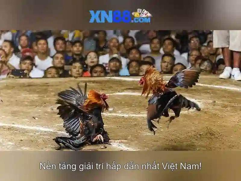 An toàn và bảo mật trên xn88