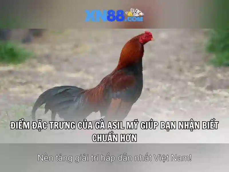 <!--IMG_PLACEHOLDER alt>Sản phẩm và dịch vụ cốt lõi: ứng dụng thực tế của telegram xn88 code nx88-->