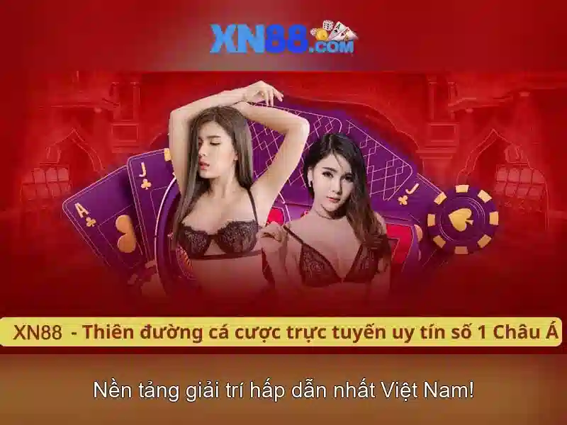 Trải nghiệm người dùng và bảo mật\n<h2><b>Kết luận và triển vọng</b></h2>\n<p><span style=