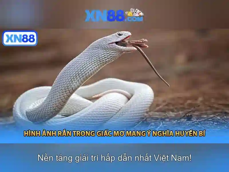 xn88 là gì và tại sao nó nổi bật