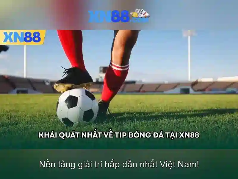 Lịch sử và nguồn gốc