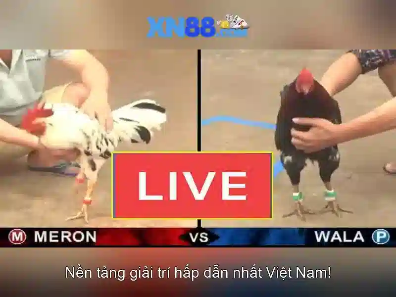 Giao diện nhà cái hoàn hảo