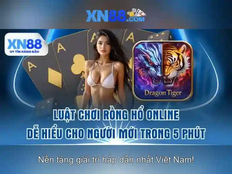 Các sản phẩm và dịch vụ nổi bật