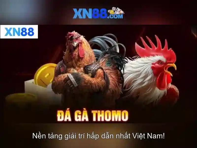 Các tính năng nổi bật của Xn88<p><span style=