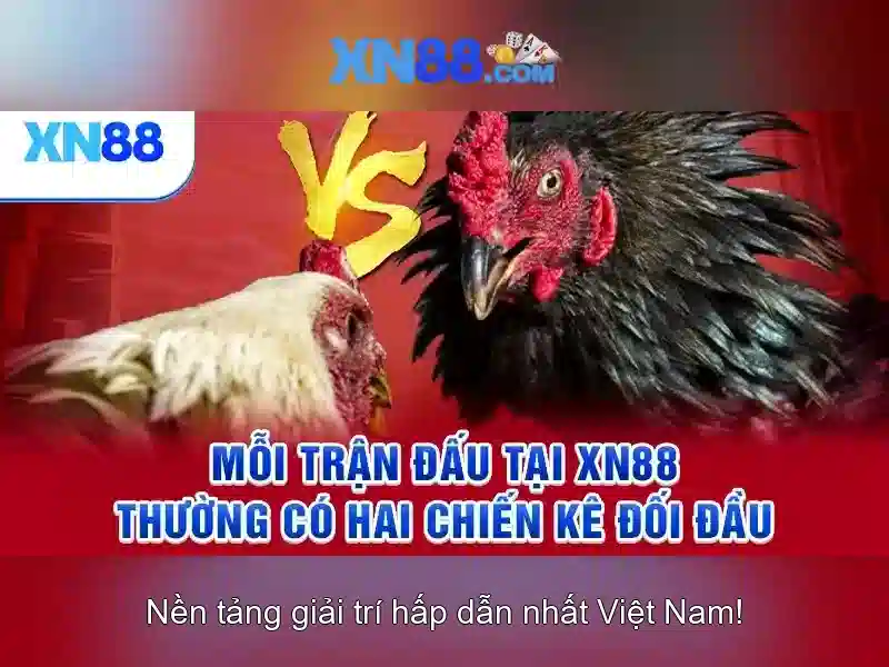 Hướng dẫn chơi cơ bản