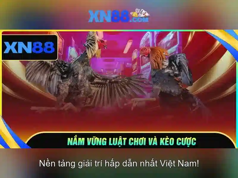xn88 – Đánh giá tổng quan về nền tảng cá cược trực tuyến Giao diện nhà cái hoàn hảo
