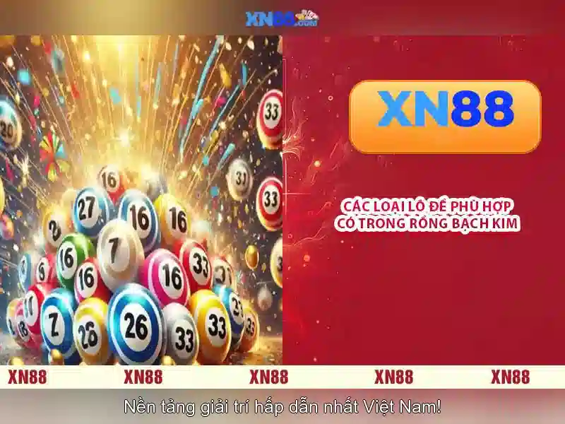 Giới thiệu về xn88