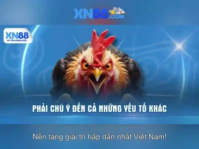 Giới thiệu về XN88