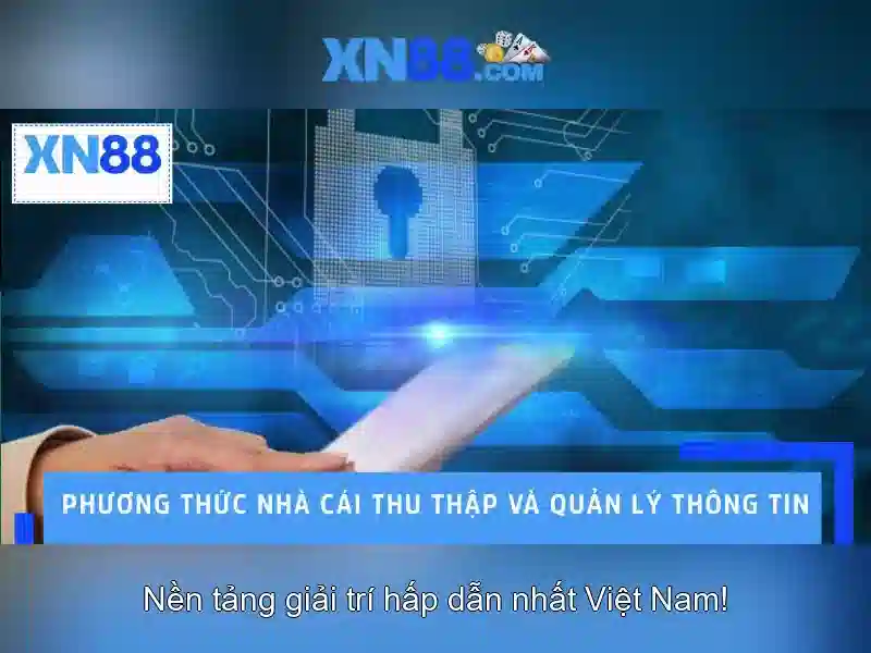 xn88: Giới thiệu, đặc điểm và ứng dụng Giao diện nhà cái hoàn hảo