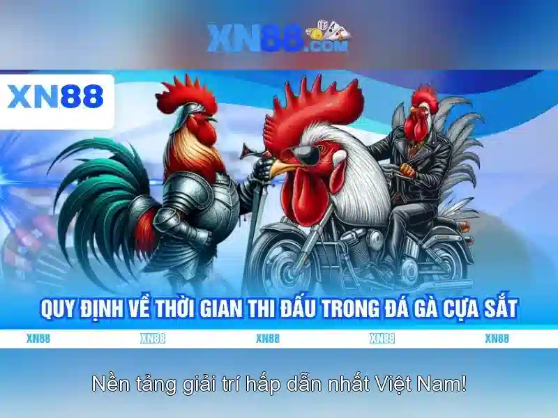 Tổng quan về tính năng của xn88