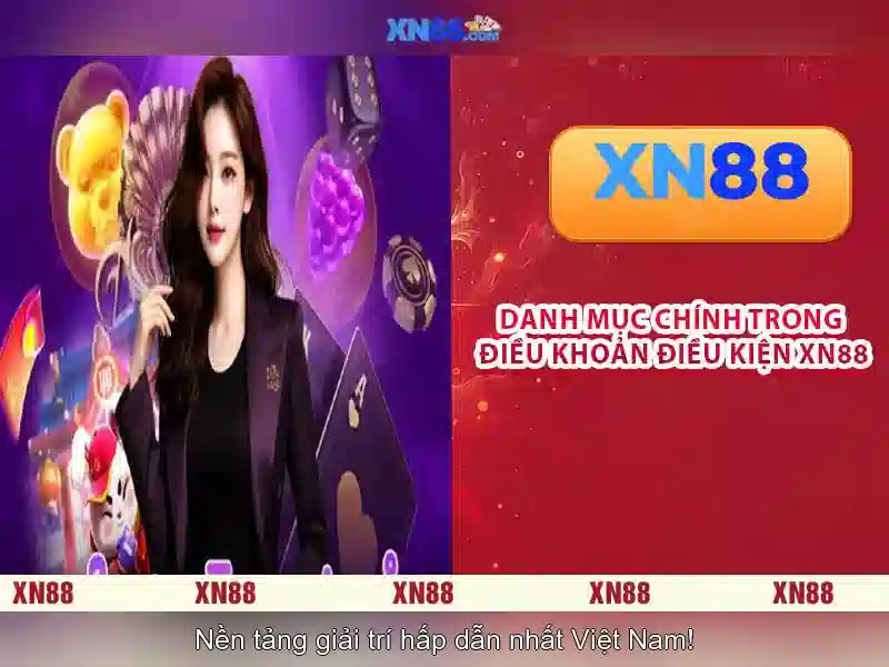 Trải nghiệm người dùng và phản hồi cộng đồng